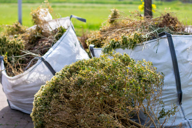 Debris Removal in Verandah, FL